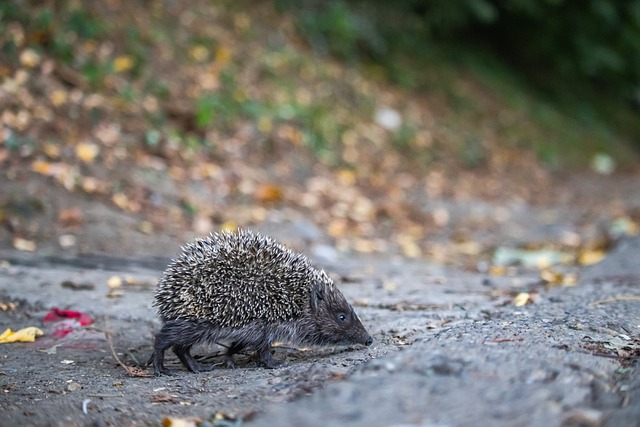 都在不断寻 都在不断寻