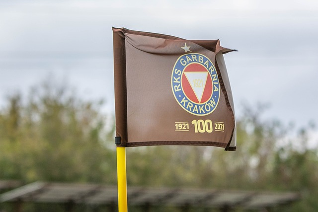 经济促进效 经济促进效