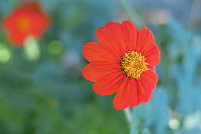 凭借其深厚 凭借其深厚