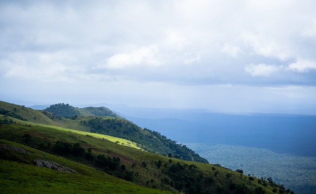 与勇士队的 与勇士队的